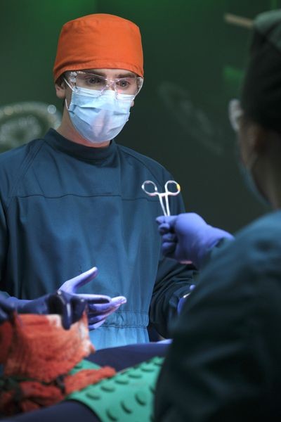 Chirurgie pour Shaun Murphy (Freddie Highmore)